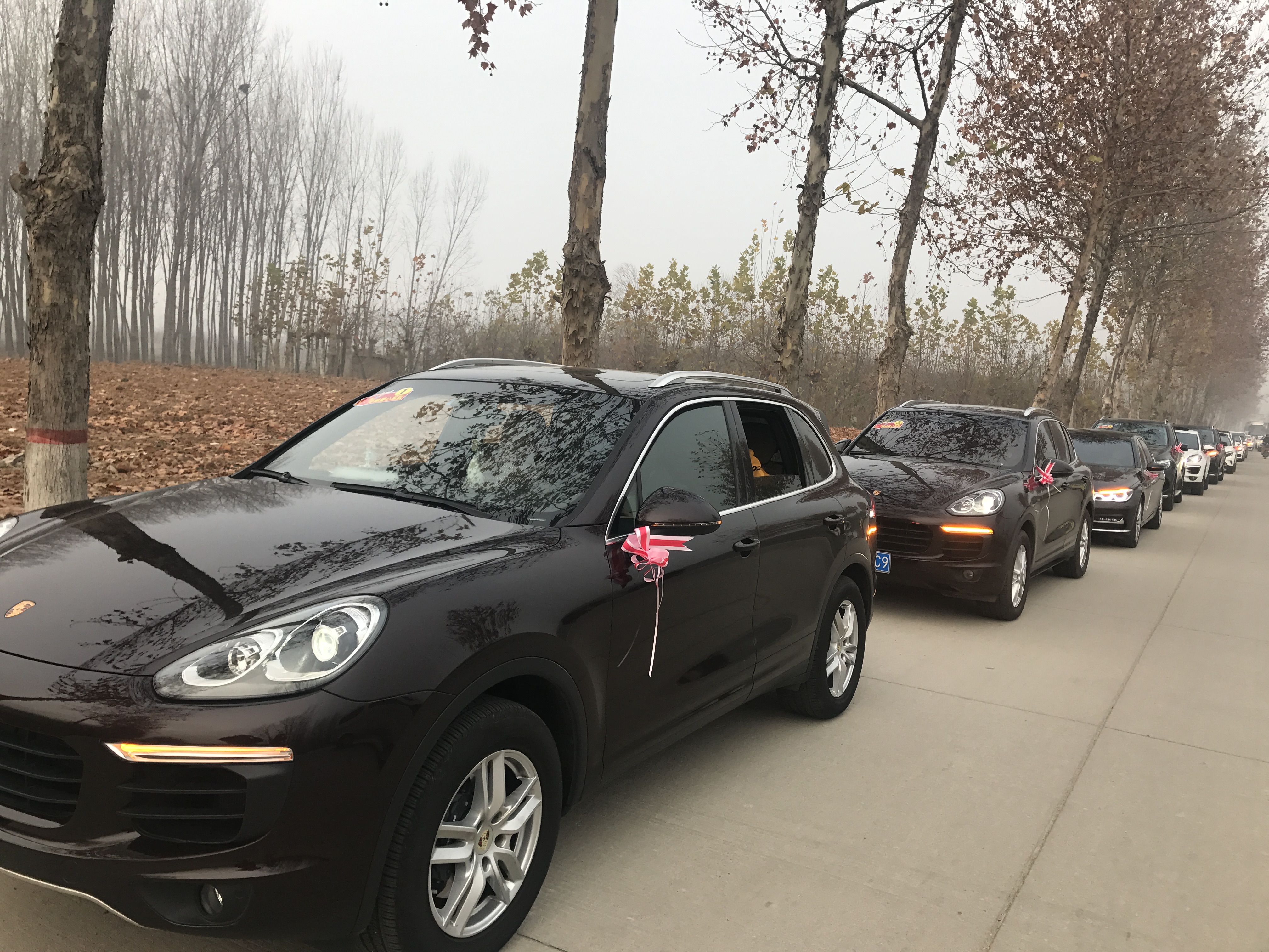 第183所 泰安市岱岳区良庄镇米兰体育平台官方网站-米兰(中国)
李娜小学